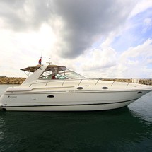 Sea ray da 425