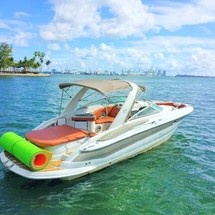 Crownline 315 SCR