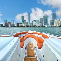 Crownline 315 SCR