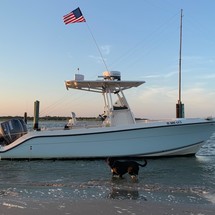 Cobia 237