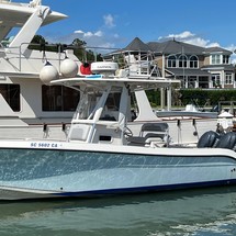 Cobia 237
