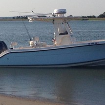 Cobia 237