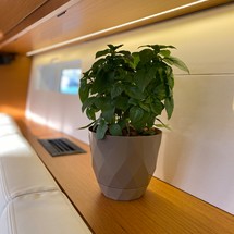 Jeanneau 54