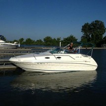 Sea Ray 240 Sundancer