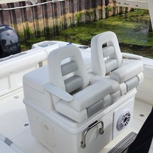 Boston Whaler 320 Outrage