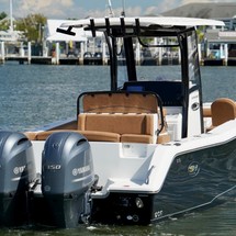 Sea Ray hunt ultra 211