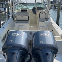 Hydra-sports 2800 vector wa