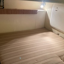 Hydra-sports 2800 vector wa