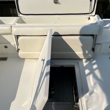 Hydra-sports 2800 vector wa