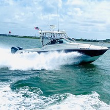 Hydra-sports 2800 vector wa