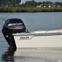 Boston Whaler 170 Montauk