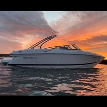 Cobalt 282