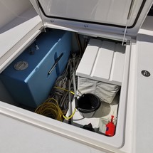 Leopard 40