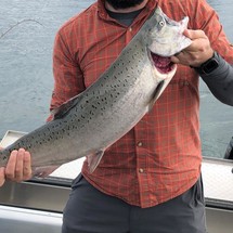 Thunder Jet Luxor Limited Edition