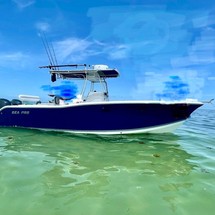 Angler Pro Boats 2900 center console