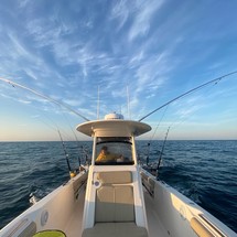 Pursuit 2870 center console