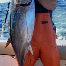 Pursuit 2870 center console