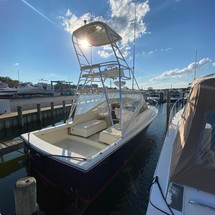 Blackfin 29 combi