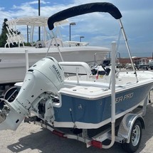 Sea Ray pro 208 bay