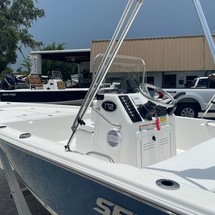 Sea Ray pro 208 bay