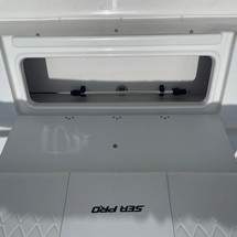 Sea Ray pro 208 bay