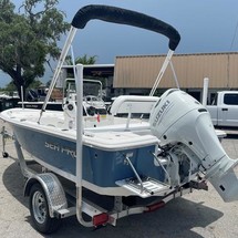 Sea Ray pro 208 bay