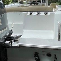 Sea Ray hunt ultra 211
