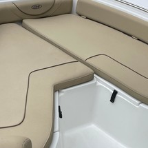 Sea Ray hunt ultra 211