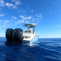 Cobia 217 center console