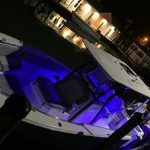 Sea Fox 288 Commander