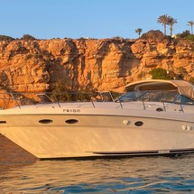 Sea Ray 460 Sundancer