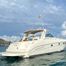 Sea Ray 460 Sundancer