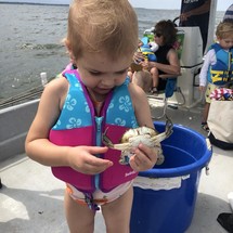 Great white 10m open bow