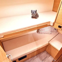 Elan Impression 45.1