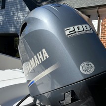 Sportsman 234