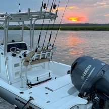 Sportsman 234