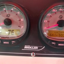 Boston Whaler 190 Outrage