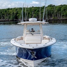 Grady-White Canyon 336