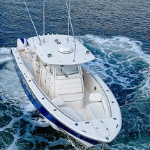 Grady-White Canyon 336