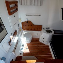 Grady-White Canyon 336