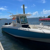 Boston Whaler 320 Outrage