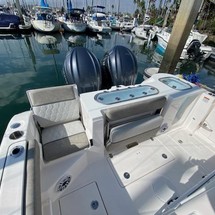 288 Sea Fox Commander