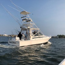 Blackfin 29 combi