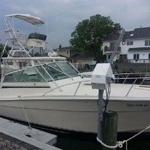 Topaz 28 express