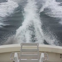 Topaz 28 express
