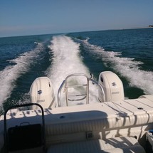 World cat 250 dc