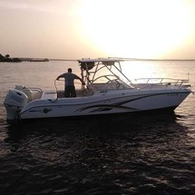 World cat 250 dc
