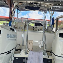World cat 250 dc