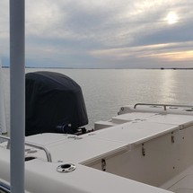 Grady-White 251 CE