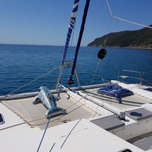 Lagoon 500